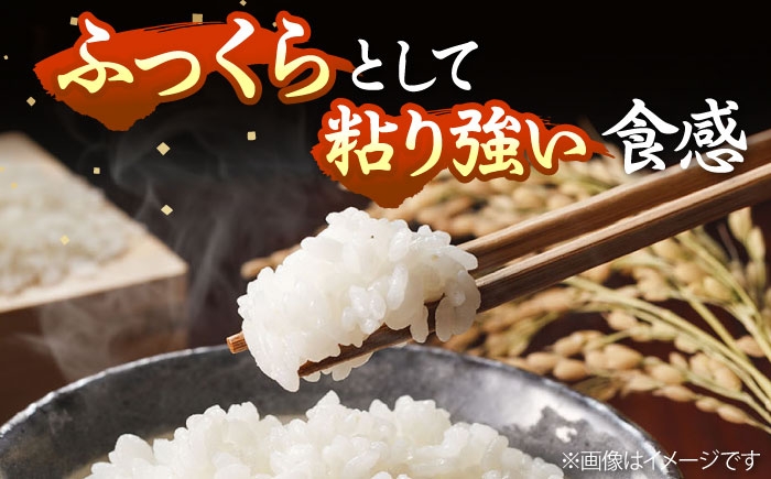 人気 贈り物 ギフト