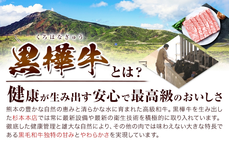 くまもと黒毛和牛 杉本本店 黒樺牛 A4~A5等級 肉厚サーロインステーキ 300g