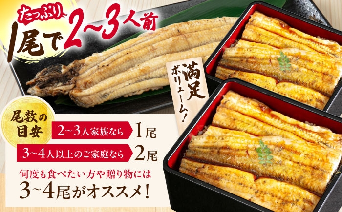 うなぎ 鰻 ウナギ 鰻蒲焼き うなぎ蒲焼き ひつまぶし うなぎ茶漬け おにぎり 国産 真空 冷凍 蒲焼 丑の日 個包装 小分け