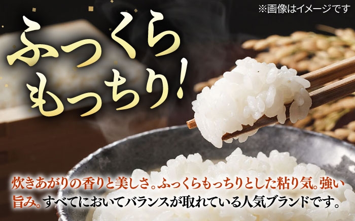 人気 贈り物 ギフト