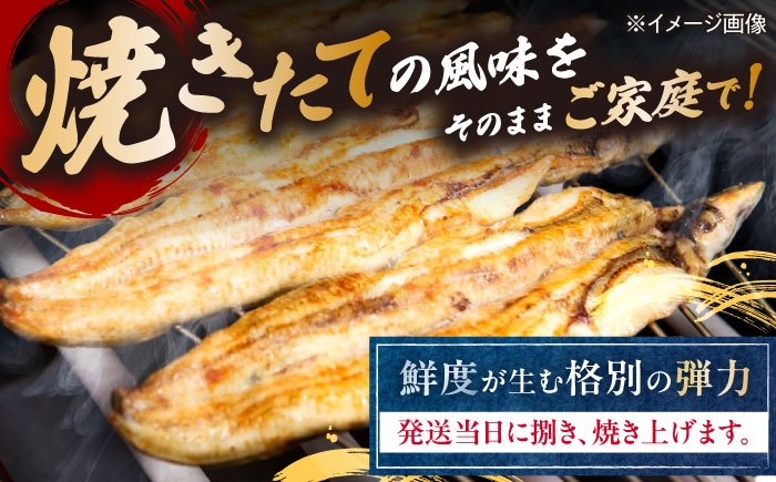 うなぎ 鰻 ウナギ 鰻蒲焼き うなぎ蒲焼き ひつまぶし うなぎ茶漬け おにぎり 国産 真空 冷凍 蒲焼 丑の日 個包装 小分け