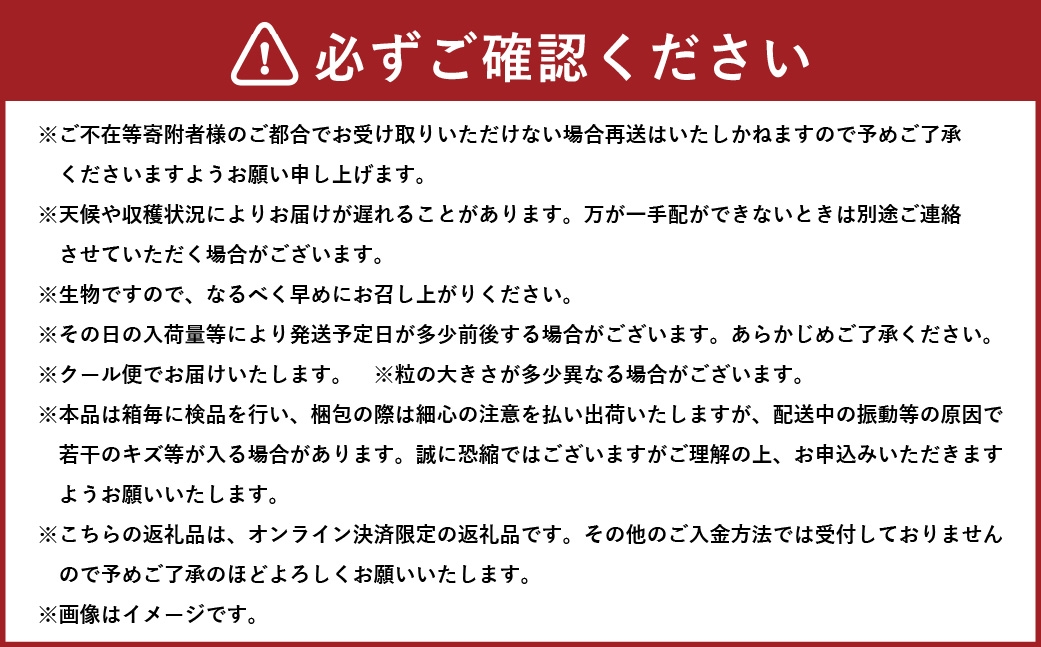 【2026年8月上旬～9月上旬発送予定】岡山県産 ブラックビート 約1.5kg（3房～6房）