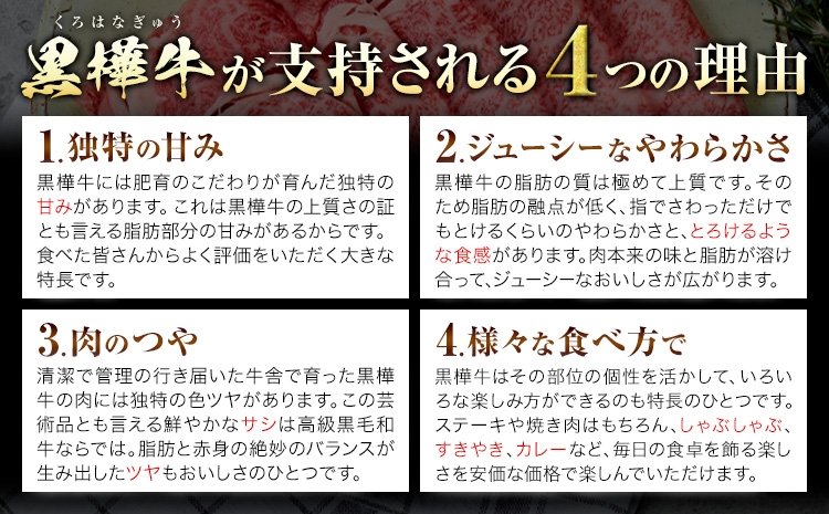 くまもと黒毛和牛  杉本本店 黒樺牛 A4~A5等級 モモステーキ 100g×6 計600g