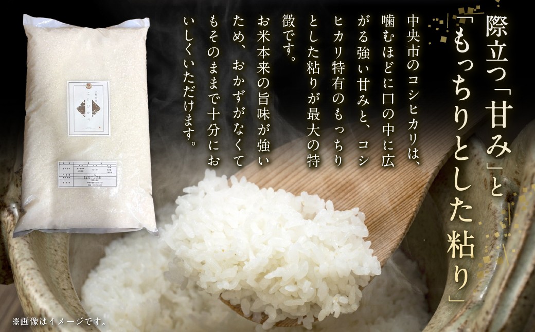 【 令和7年産 】 中央市産 コシヒカリ 5kg