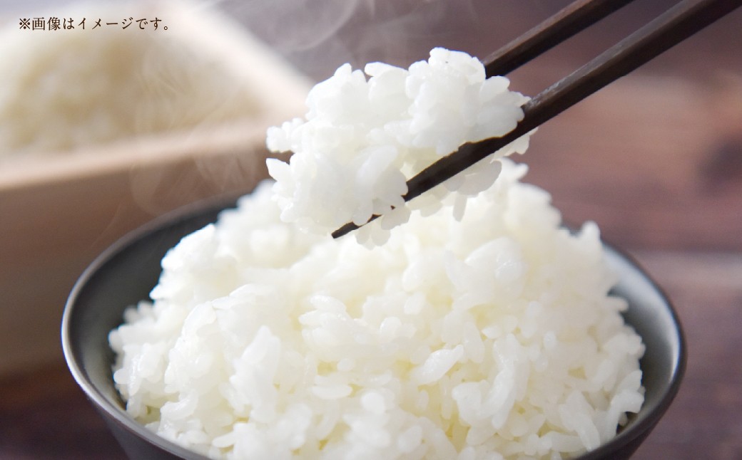 【 令和7年産 】 中央市産 コシヒカリ 10kg
