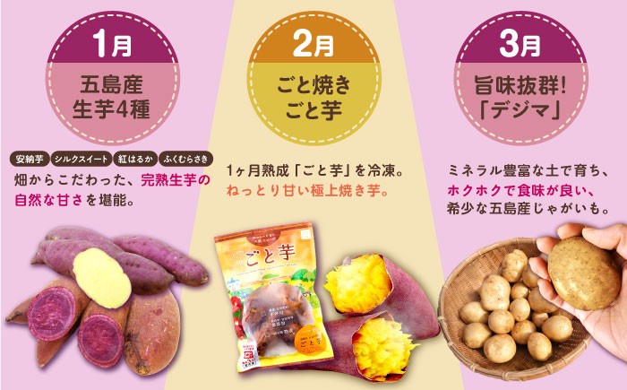 さつまいも サツマイモ 芋 五島市 長崎 定期便 国産 九州 厳選 スイーツ お菓子 おやつ 郷土菓子 15万