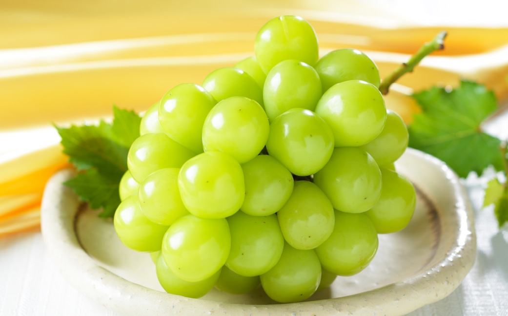 【2026年7月上旬～8月下旬発送予定】 岡山県産 シャインマスカット 晴王 約1.2kg（約600g×2房）