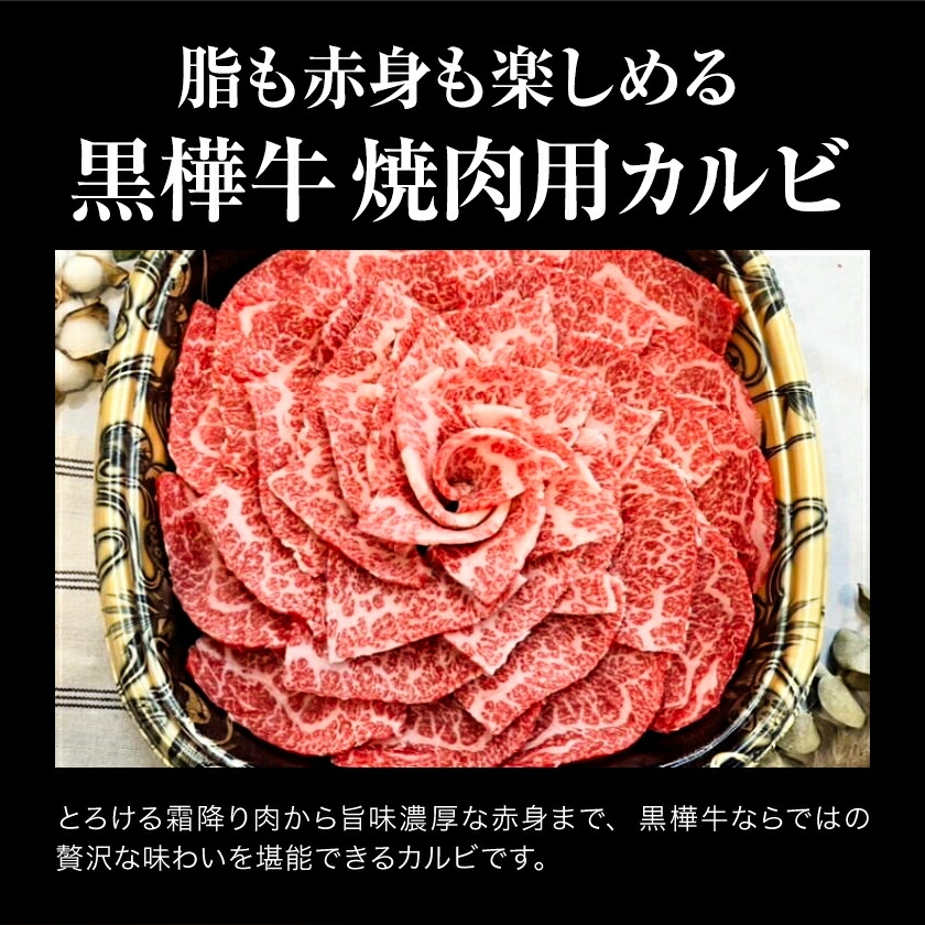 くまもと黒毛和牛 杉本本店 黒樺牛 A4~A5等級 焼肉用カルビ 250g