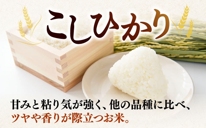 人気 贈り物 ギフト