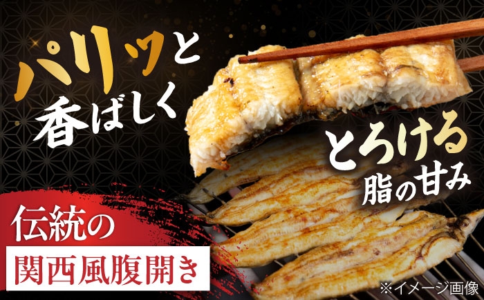 うなぎ 鰻 ウナギ 鰻蒲焼き うなぎ蒲焼き ひつまぶし うなぎ茶漬け おにぎり 国産 真空 冷凍 蒲焼 丑の日 個包装 小分け