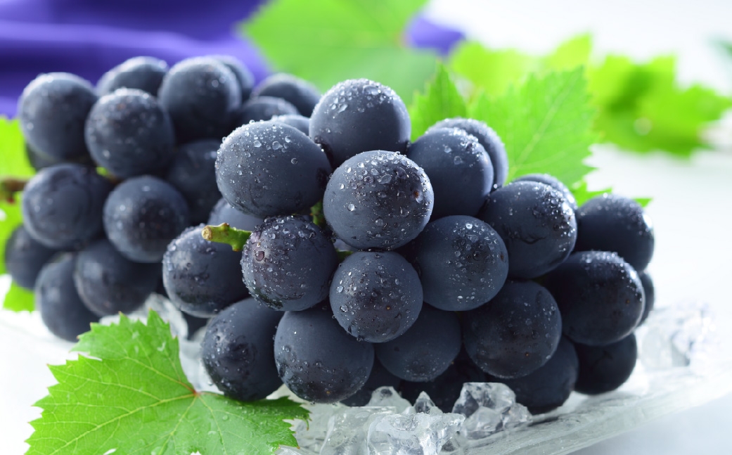 【2026年8月下旬～9月下旬発送予定】岡山県産 ニューピオーネ 約700g（700g×1房）