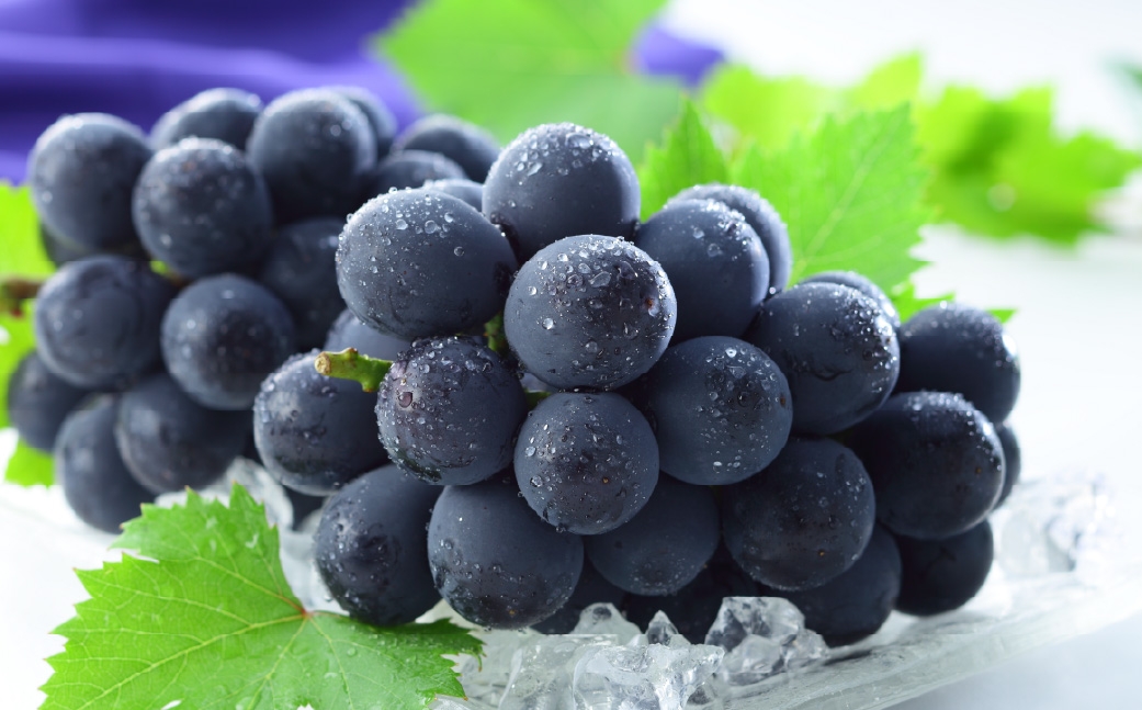 【2026年6月下旬～7月下旬発送予定】岡山県産 ニューピオーネ 約1kg（約500g×2房）