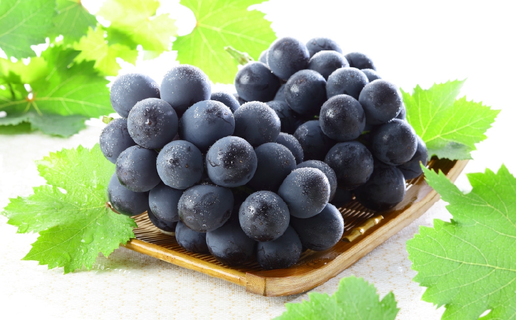 【2026年8月下旬～9月下旬発送予定】ご家庭用 岡山県産 ニューピオーネ 約800g（400g×2房）