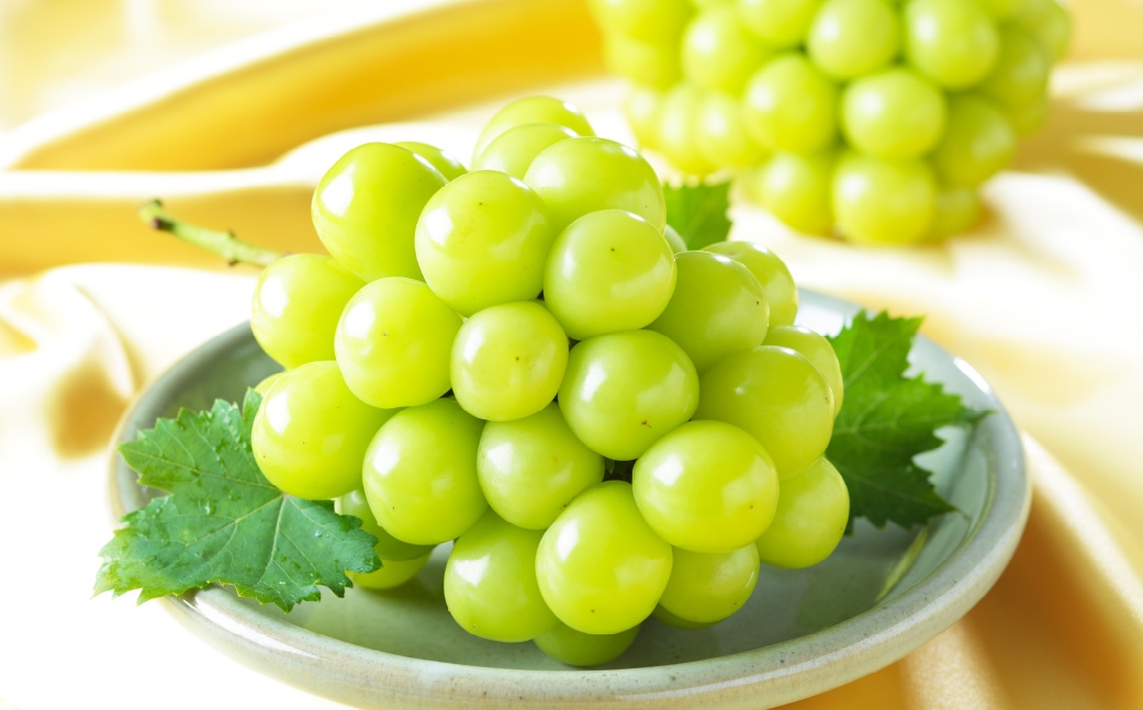 【2026年8月下旬～9月下旬発送予定】岡山県産 シャインマスカット「晴王」とニューピオーネ 3Lサイズ 計約1.2kg