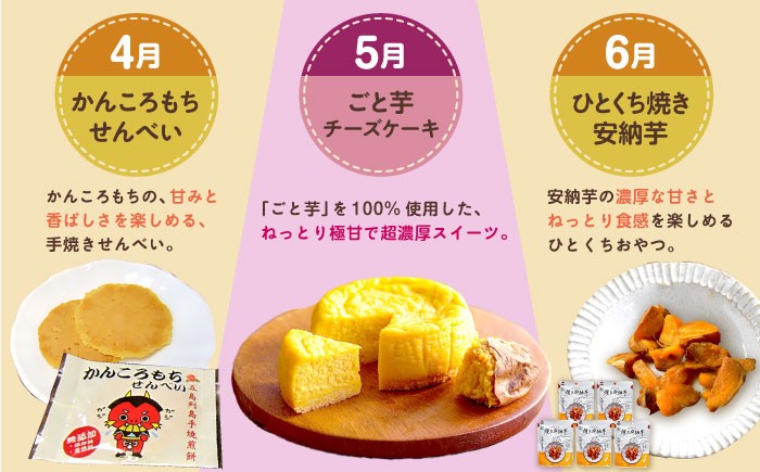 さつまいも サツマイモ 芋 五島市 長崎 定期便 国産 九州 厳選 スイーツ お菓子 おやつ 郷土菓子 15万