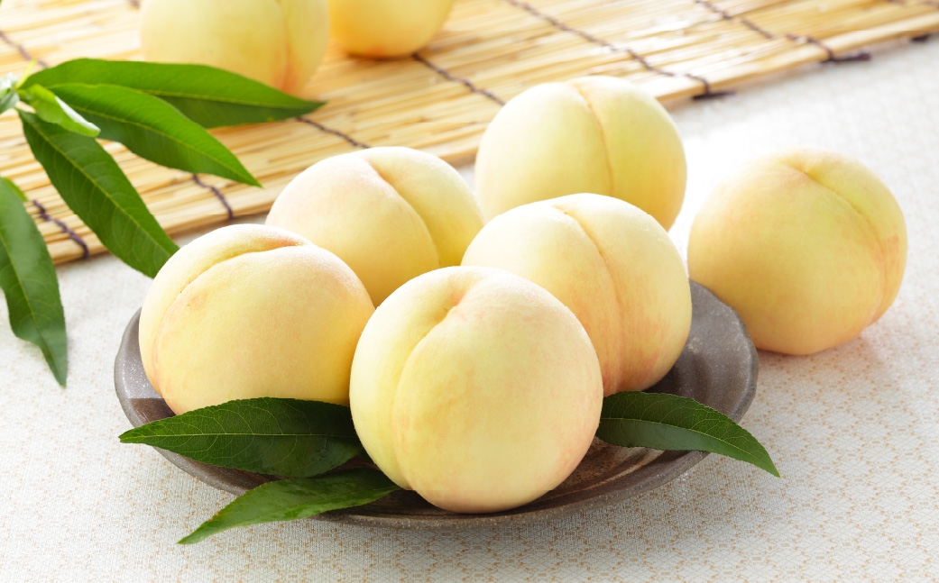 【2026年7月上旬～8月下旬発送予定】岡山白桃 エース 3玉×約250g（2Lサイズ）岡山県産