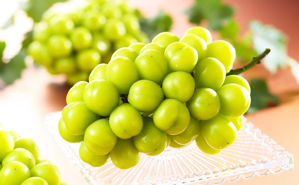 【2026年8月下旬～11月下旬発送予定】ご家庭用 岡山県産 シャインマスカット 晴王 約1kg（500g×2房）