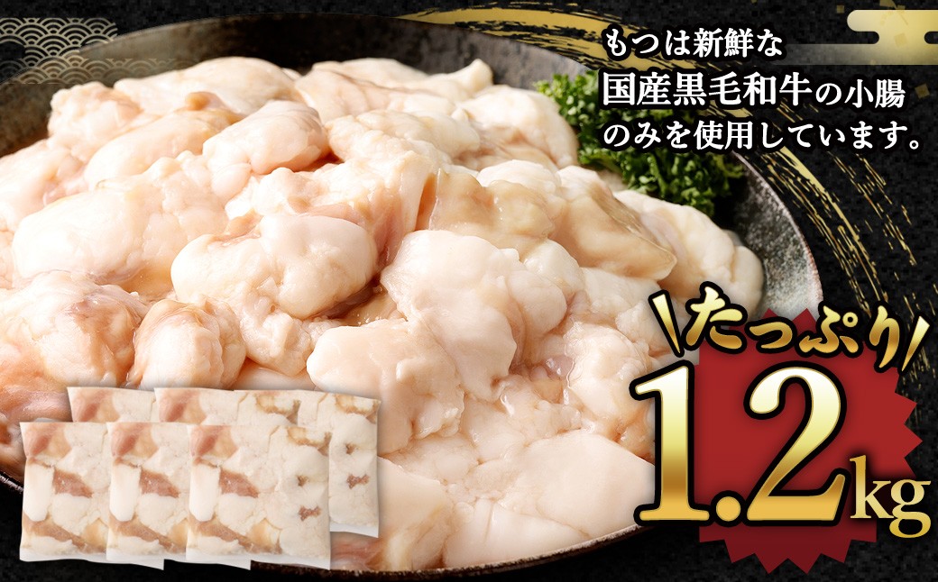 国産 牛もつ鍋 12人前 ちゃんぽん 濃縮スープ付（醤油味）