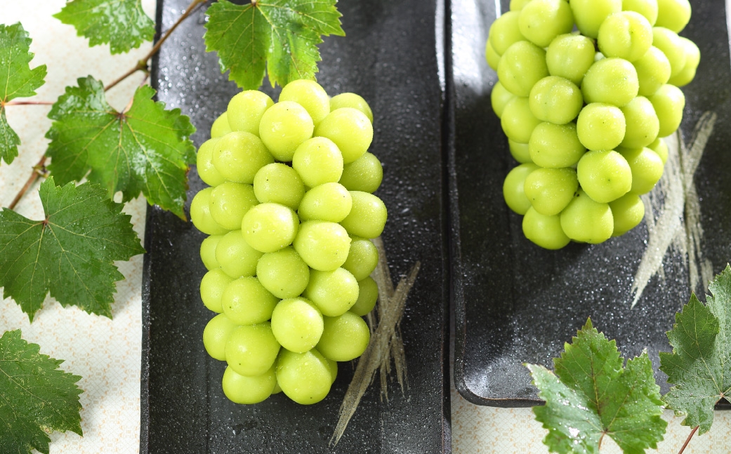 【2026年7月上旬～8月下旬発送予定】 岡山県産 シャインマスカット 晴王 約5kg（5房～10房）