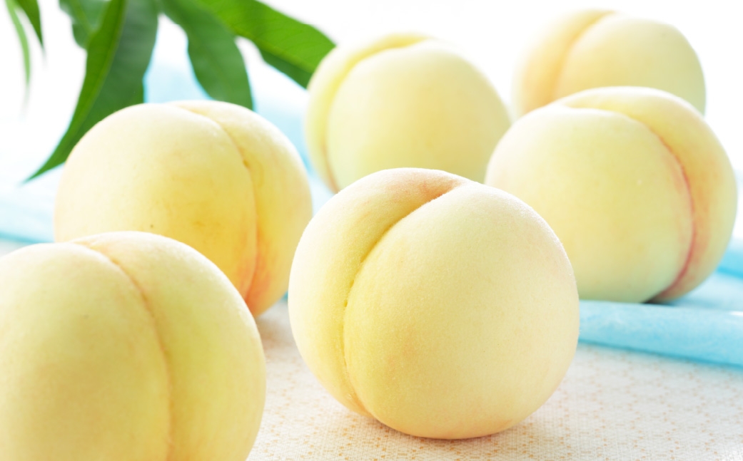 【2026年7月上旬～8月下旬発送予定】岡山白桃 エース 3玉×約250g（2Lサイズ）岡山県産