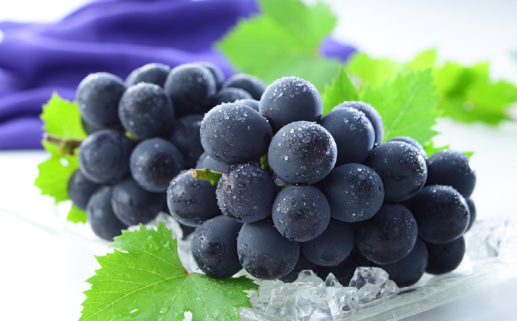 【2026年6月下旬～7月下旬発送予定】岡山県産 シャインマスカット 晴王･ニューピオーネ Lサイズ  計約800g 詰合せ