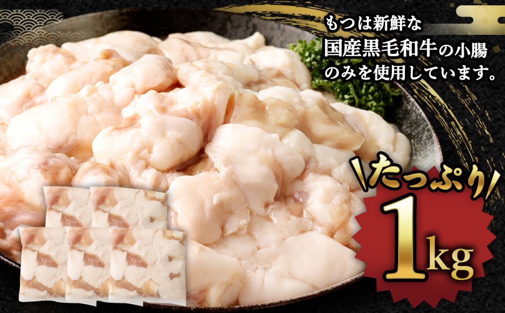 国産 牛もつ鍋 10人前 ちゃんぽん・濃縮スープ付き（醤油味）