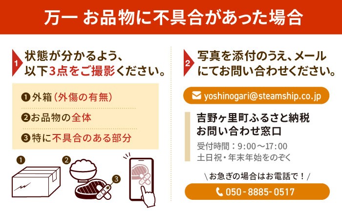  佐賀牛 ヒレステーキ 総計600g  佐賀牛 ひれすてーき ヒレ ステーキ 150g 2枚 小分け 2回定期便