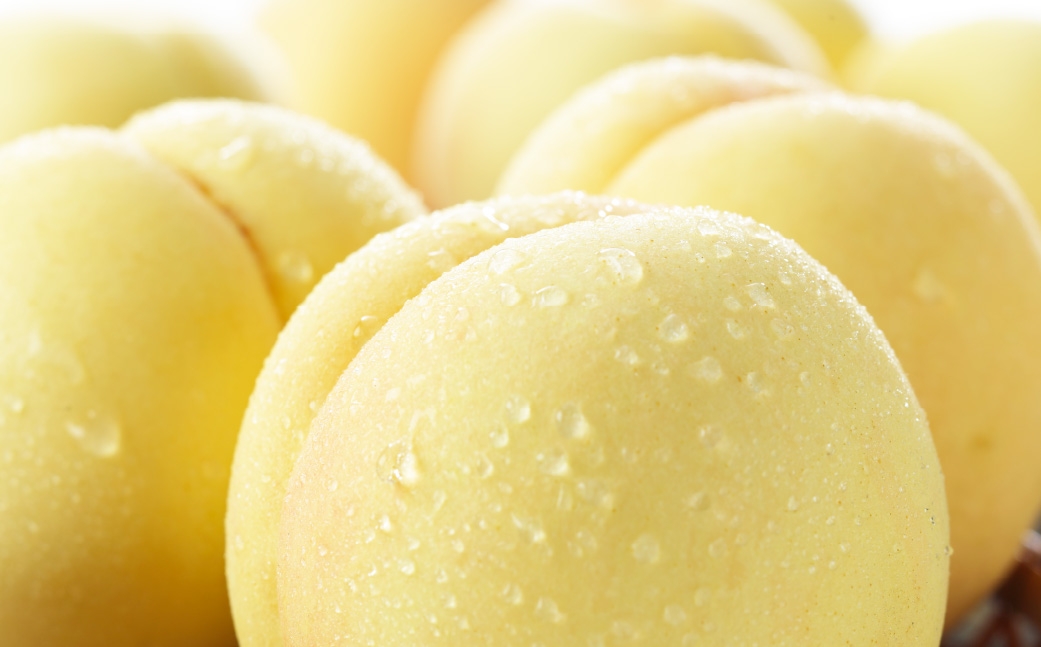 【2026年7月上旬～8月下旬発送予定】岡山白桃 エース 3玉×約200g（Lサイズ）岡山県産