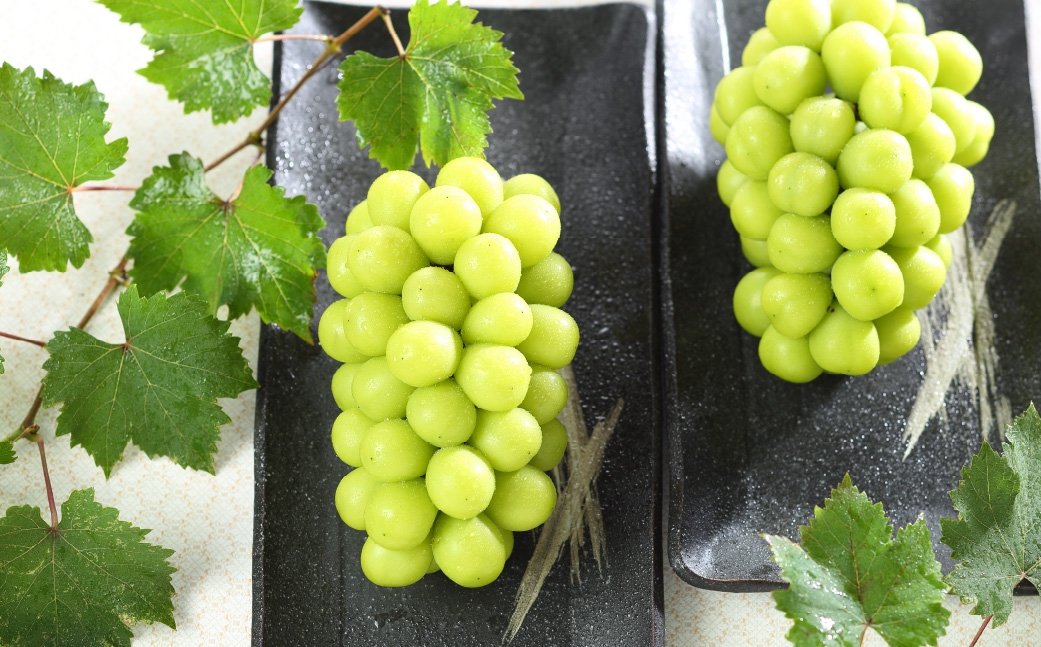 【2026年8月下旬～11月下旬発送予定】ご家庭用 岡山県産 シャインマスカット 晴王 約600g（600g×1房）