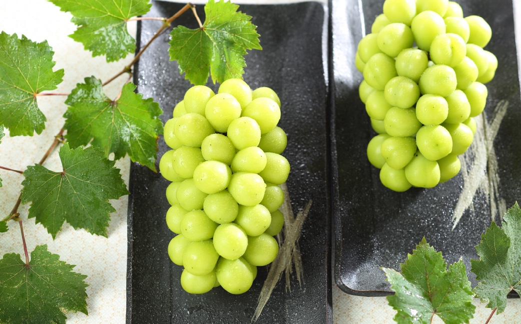 【2026年8月下旬～11月下旬発送予定】ご家庭用 岡山県産 シャインマスカット 晴王 約2kg（3房～6房）