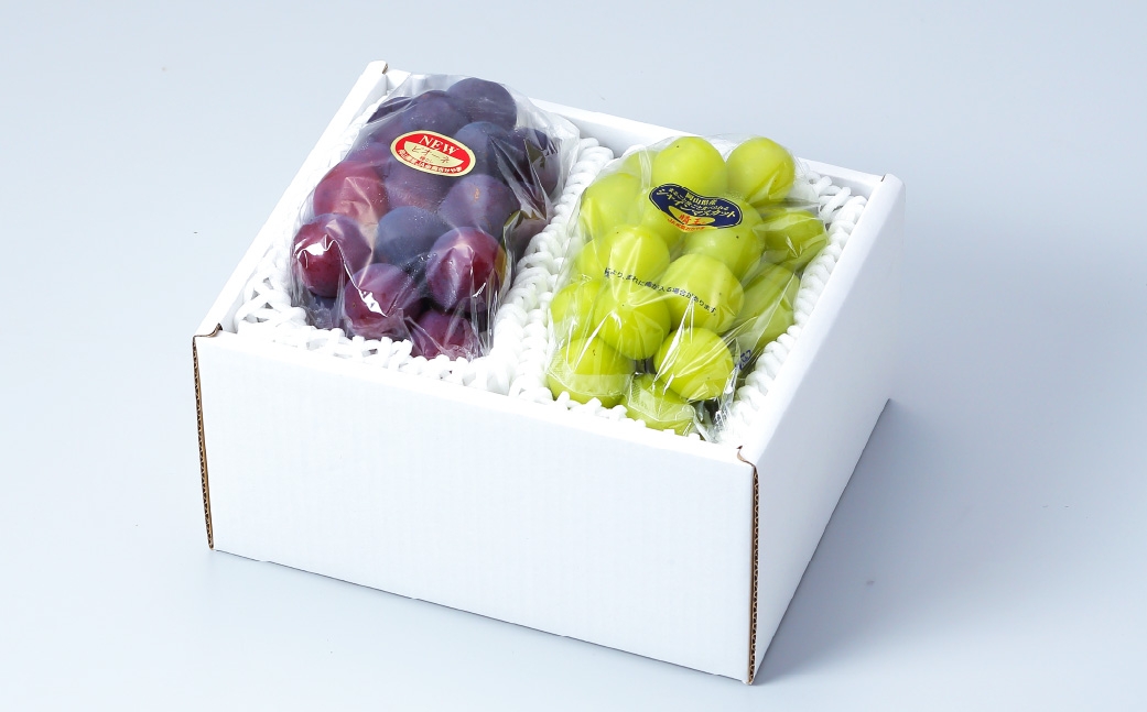 【2026年8月下旬～9月下旬発送予定】岡山県産 シャインマスカット「晴王」とニューピオーネ 3Lサイズ 計約1.2kg