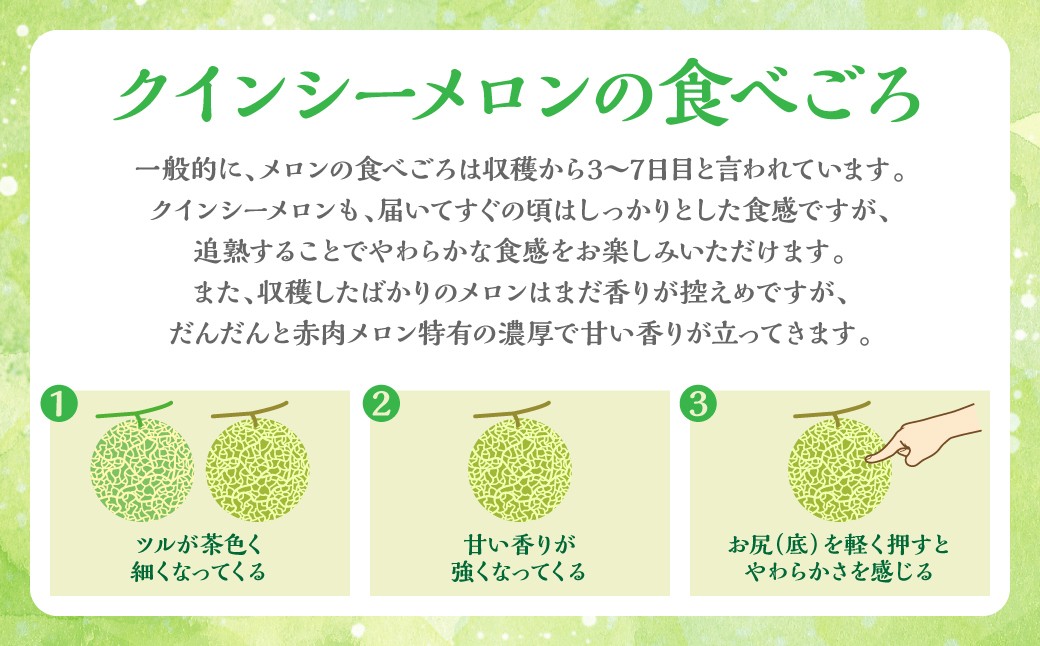 クインシーメロンの食べごろ
