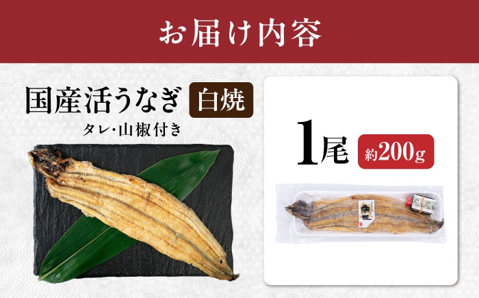 うなぎ 鰻 ウナギ 鰻蒲焼き うなぎ蒲焼き ひつまぶし うなぎ茶漬け おにぎり 国産 真空 冷凍 蒲焼 丑の日 個包装 小分け