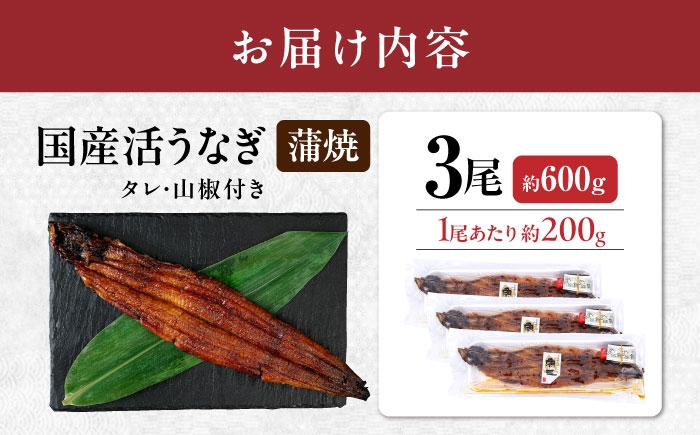うなぎ 鰻 ウナギ 鰻蒲焼き うなぎ蒲焼き ひつまぶし うなぎ茶漬け おにぎり 国産 真空 冷凍 蒲焼 丑の日 個包装 小分け