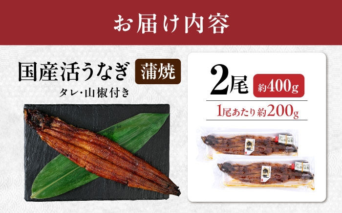 うなぎ 鰻 ウナギ 鰻蒲焼き うなぎ蒲焼き ひつまぶし うなぎ茶漬け おにぎり 国産 真空 冷凍 蒲焼 丑の日 個包装 小分け