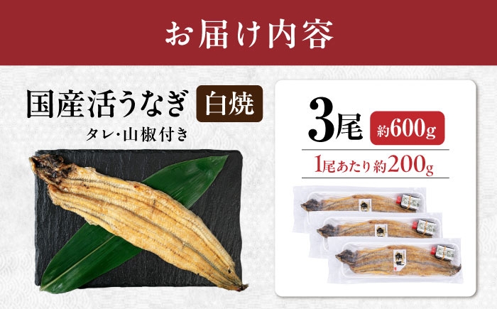 うなぎ 鰻 ウナギ 鰻蒲焼き うなぎ蒲焼き ひつまぶし うなぎ茶漬け おにぎり 国産 真空 冷凍 蒲焼 丑の日 個包装 小分け