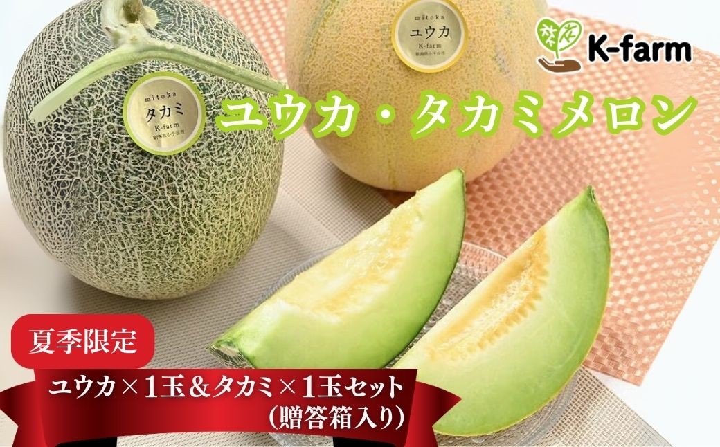 有機肥料を使った土づくりのこだわり K-farmおすすめ メロンセット 贈り物に