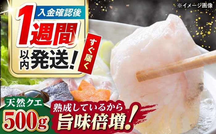 魚 魚介類 クエ鍋 特産品 幻 白身魚 高級 貴重 くえ クエ アラ 切身 海鮮 鮮魚 鍋 ぶつ切り