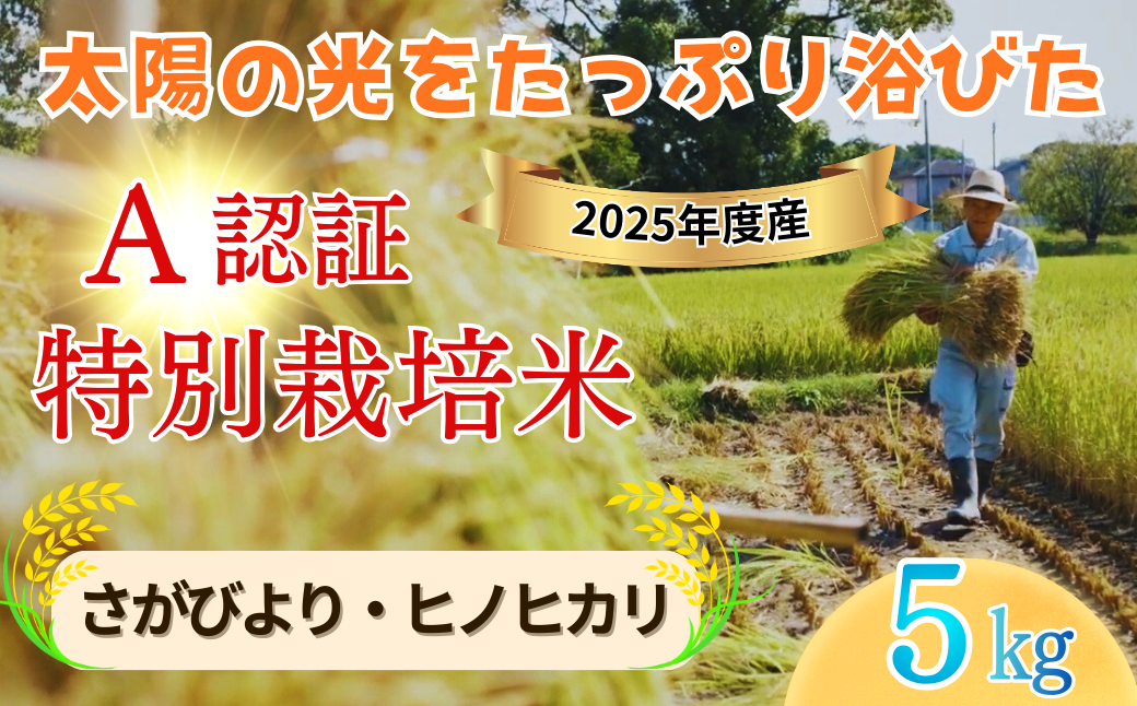 「佐賀県特別栽培農産物」A分類（化学合成農薬：不使用 化学肥料：不使用）認定｜種まきの会（大隈義昭さん＆秋山学さん）無垢米