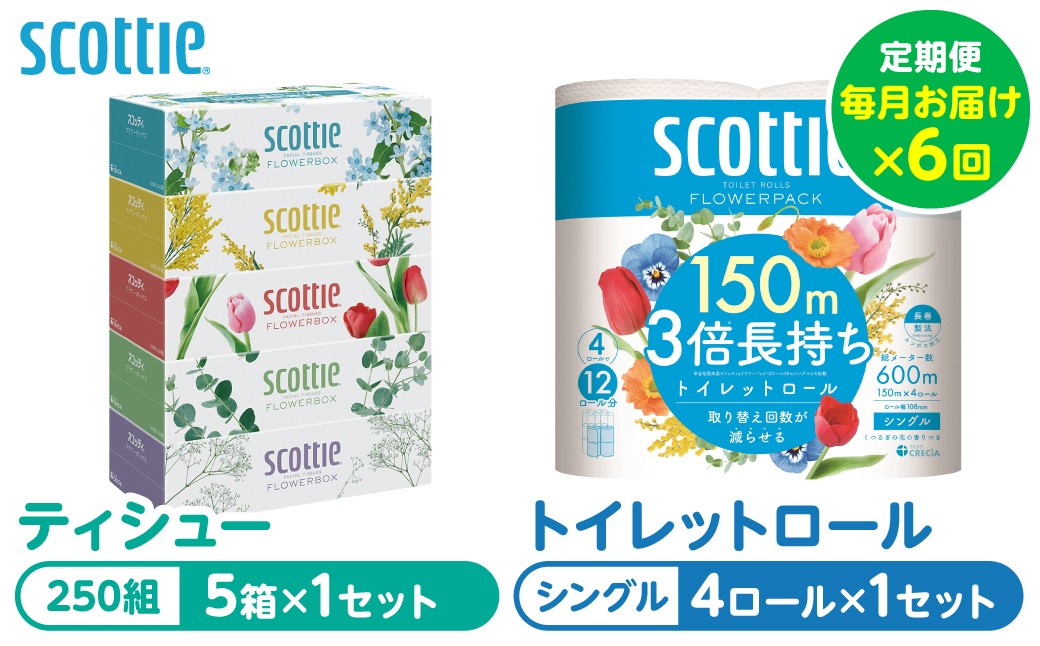 【定期便6回】【スコッティ】ティシュー フラワーボックス 5箱＋トイレットロール シングル フラワーパック 3倍長持ち 4ロール