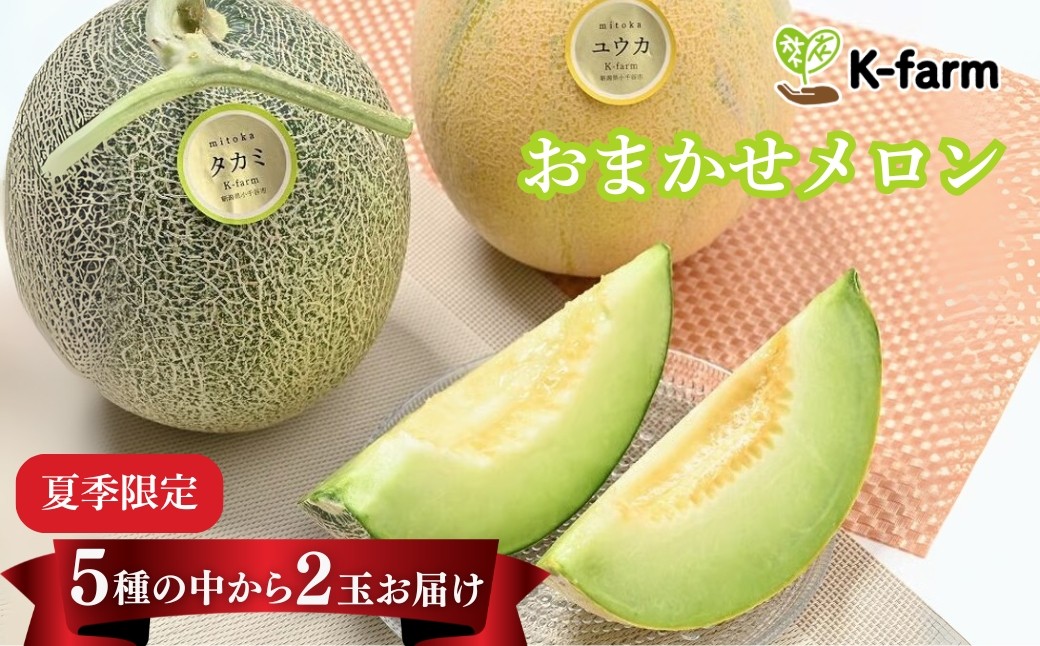 有機肥料を使った土づくりのこだわり　K-farmおすすめのメロン5種類から2玉