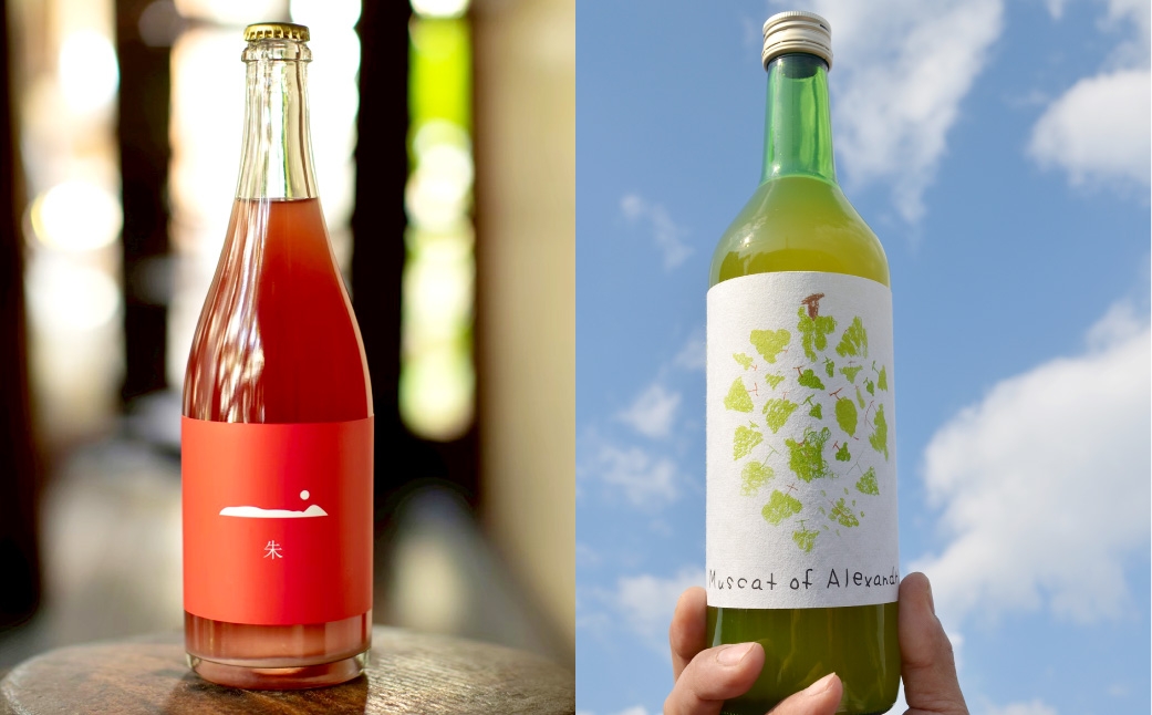 朱2025 ワイン・ジュースセット