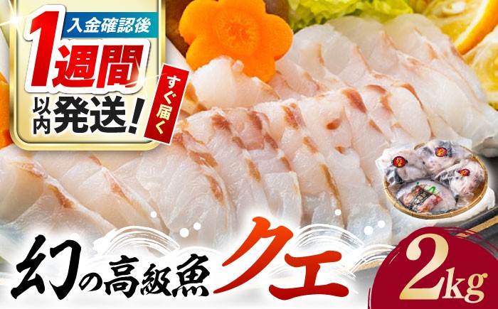 くえ 高級魚 アラ 魚 クエ クエ鍋 刺身 天然 希少 冷凍 対馬 長崎 九州 つしま 対馬市 海鮮