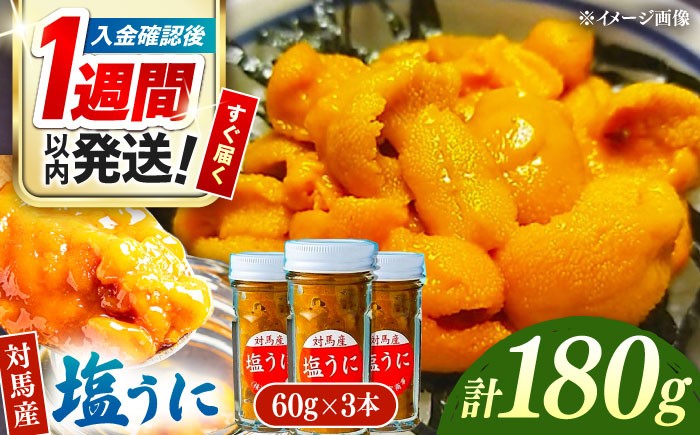  ウニ うに 冷凍 塩ウニ 対馬 雲丹 ムラサキウニ 紫ウニ 紫うに 長崎 九州 つしま 対馬市 海鮮 魚介