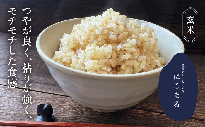 お米 玄米 雑穀米 ご飯 ごはん 特別栽培米 愛知県産 米 10kg 10キロ