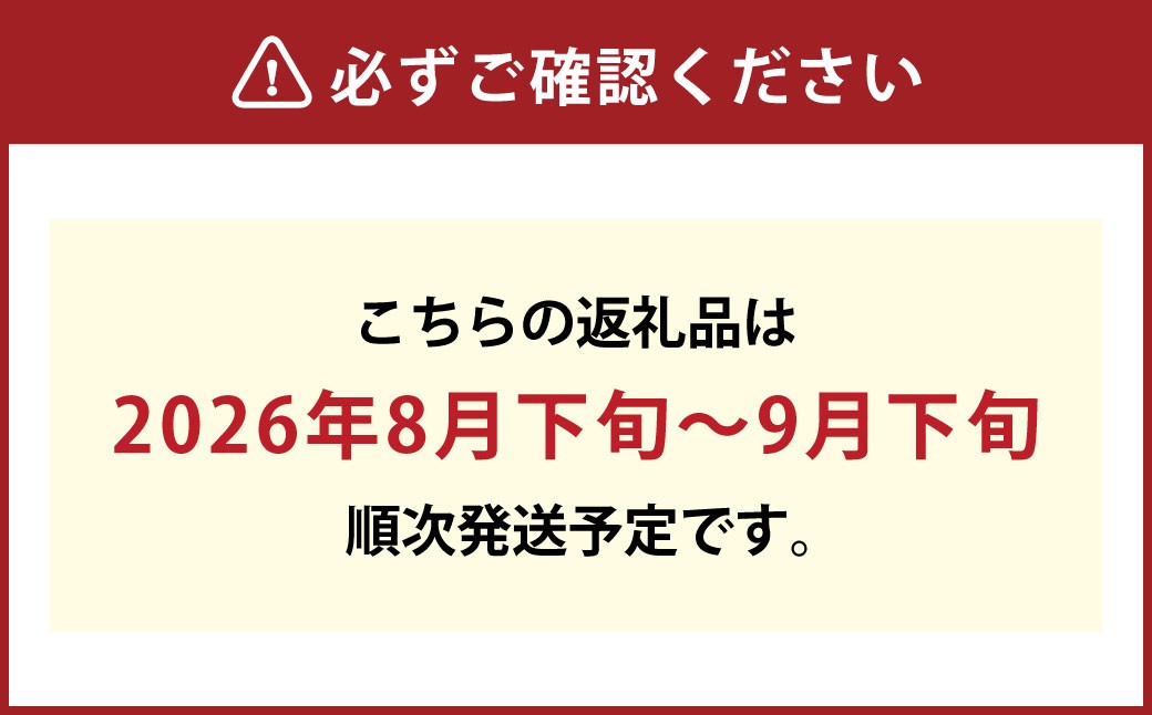 果物詰合せ 合計約1.0kg（白桃（晩生種） 2玉・ニュー ピオーネ 1房）