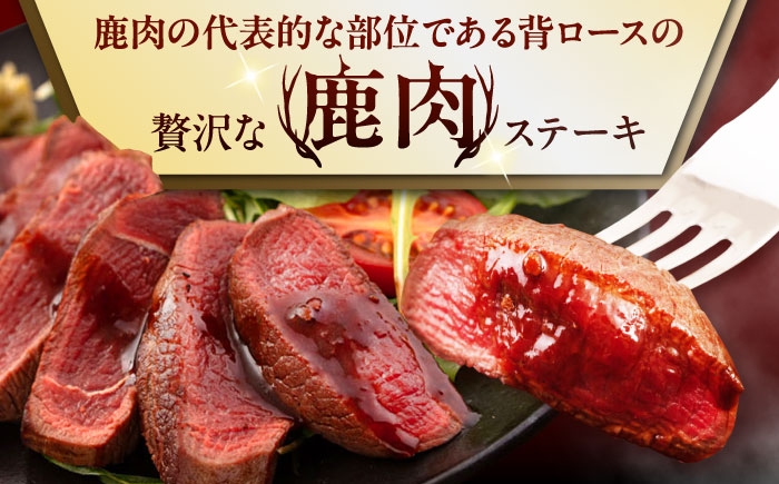 背ロース 120g×4枚 北海道 ジビエ 鹿 ロース ステーキ ステーキ用 赤身 冷凍 冷凍配送 定期便