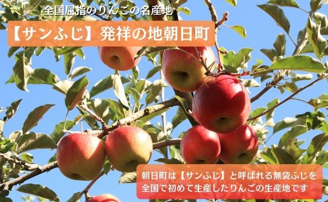 りんごや桃などのジャムセットです