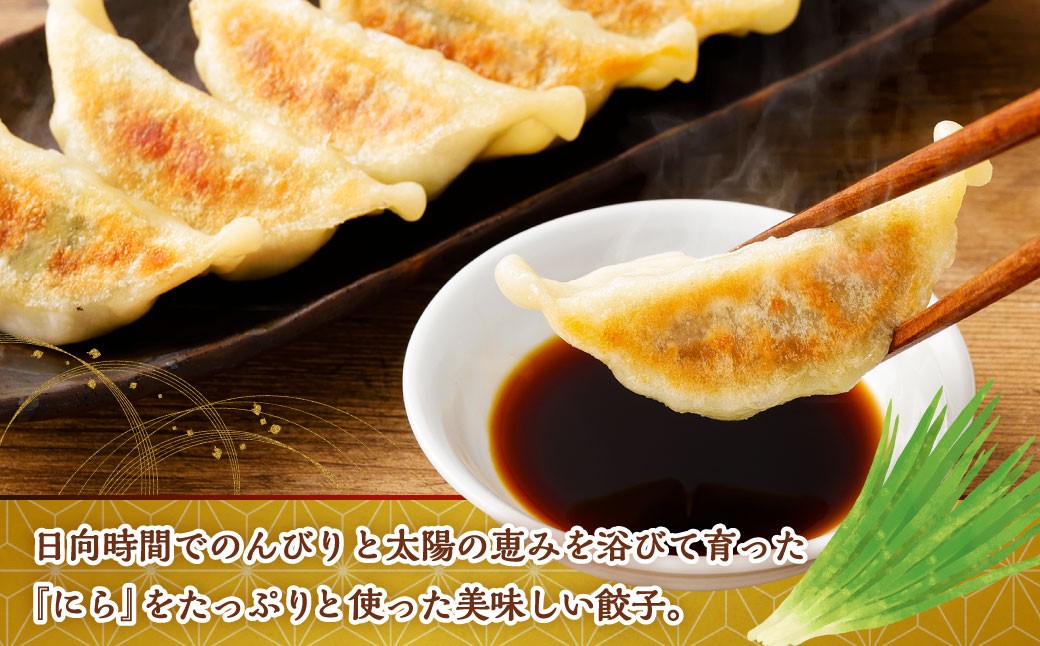 にら農家の『にらぎょうざ』 100個