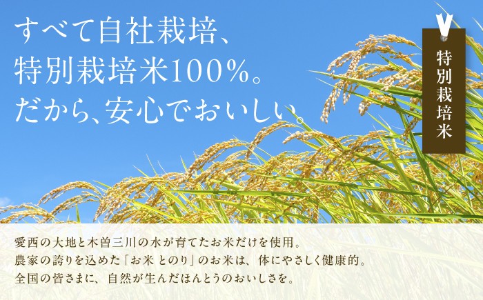 お米 玄米 雑穀米 ご飯 ごはん 特別栽培米 愛知県産 米 5kg 5キロ 愛西